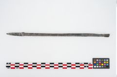 Foto von Bronzeraspel (NHMW-PRAE-025825)